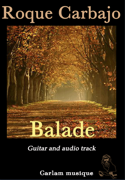 Balade karaoke guitar cover