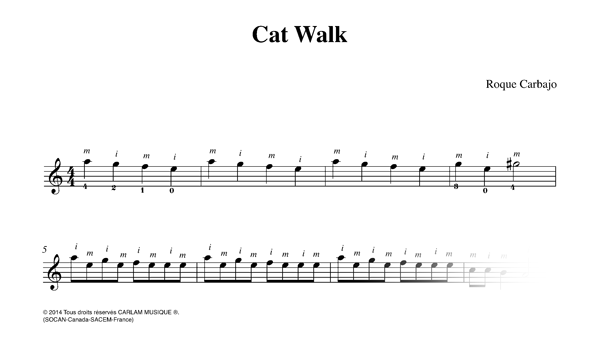 Cat walk karaoke guitar score