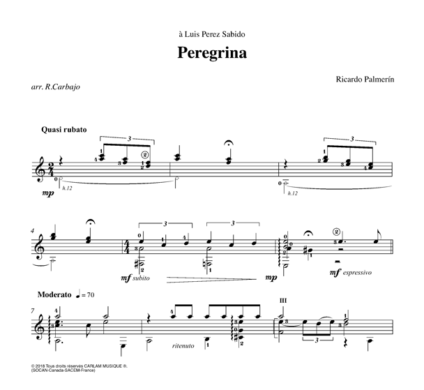 Peregrina adaptation solo guitar score